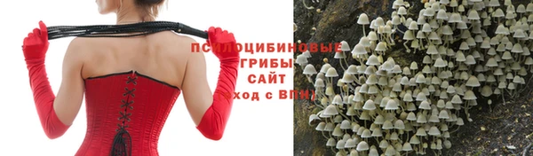 скорость Арсеньев