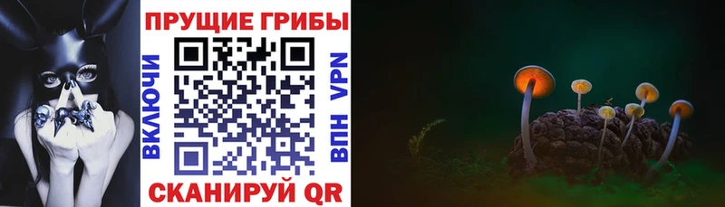 Галлюциногенные грибы мицелий  купить наркотики сайты  Горняк 