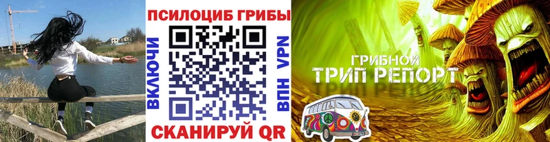 Псилоцибиновые грибы MAGIC MUSHROOMS Горняк