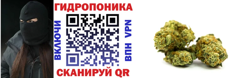 где купить наркоту  Горняк  Канабис тримм 